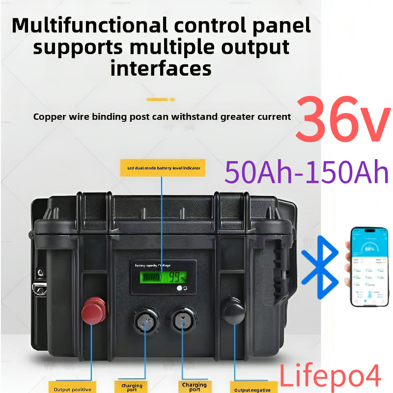 Lifepo4 Battery 36V 100Ah - Paquete de Baterías de Litio LiFePO4
