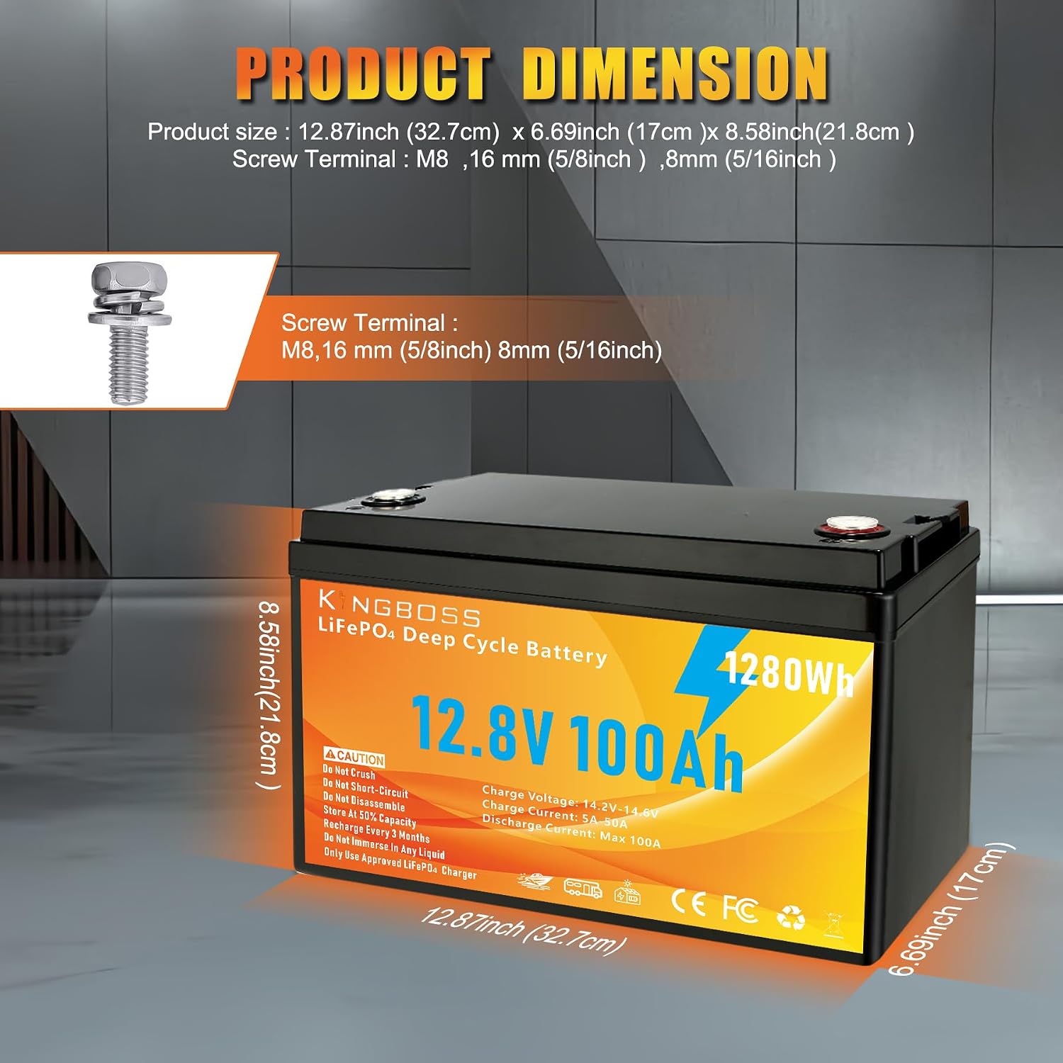 Batería de litio LiFePO4 de ci - Lifepo4 Battery 12V 100Ah reseña y precio