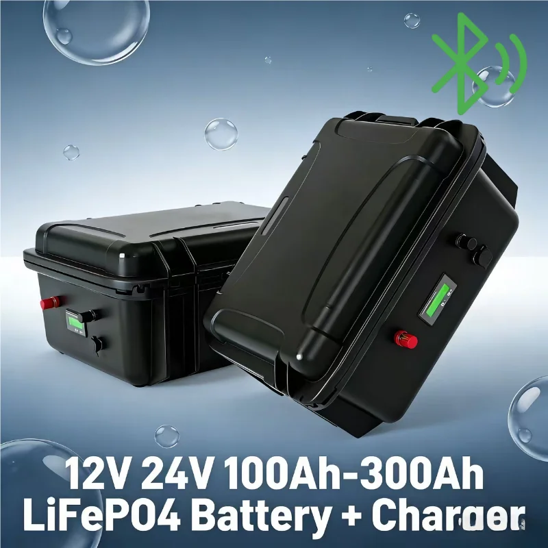 Paquete de batería LiFePO4 de  - 12V 100Ah Lifepo4 Bluetooth Bms reseña y precio