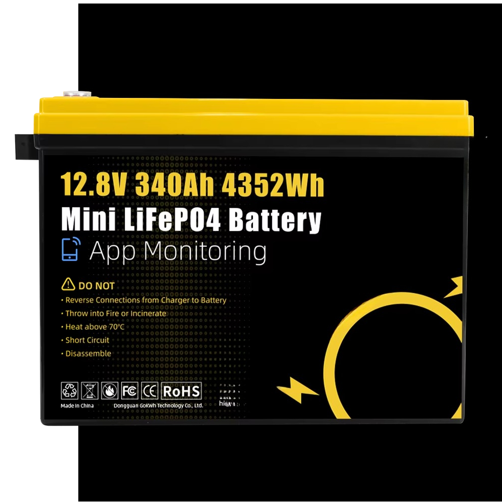 GoKWh Marine 12v Lifepo4 bater - Lifepo4 Battery 12V 100Ah reseña y precio