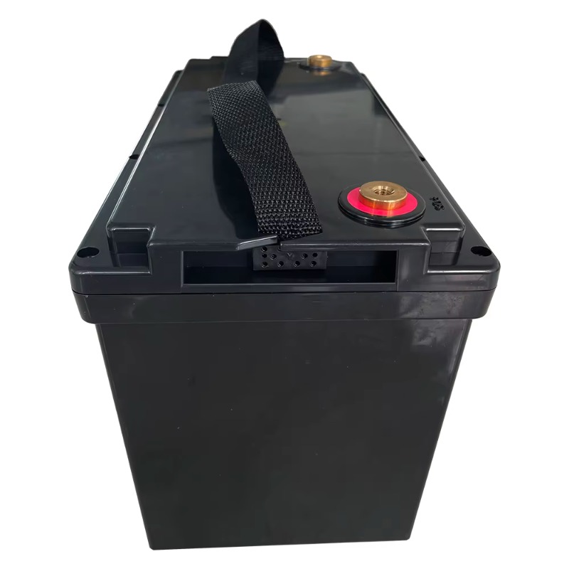 Caja de batería de 12V 100Ah t - Lifepo4 Battery Box Diy 12V 100Ah reseña y precio