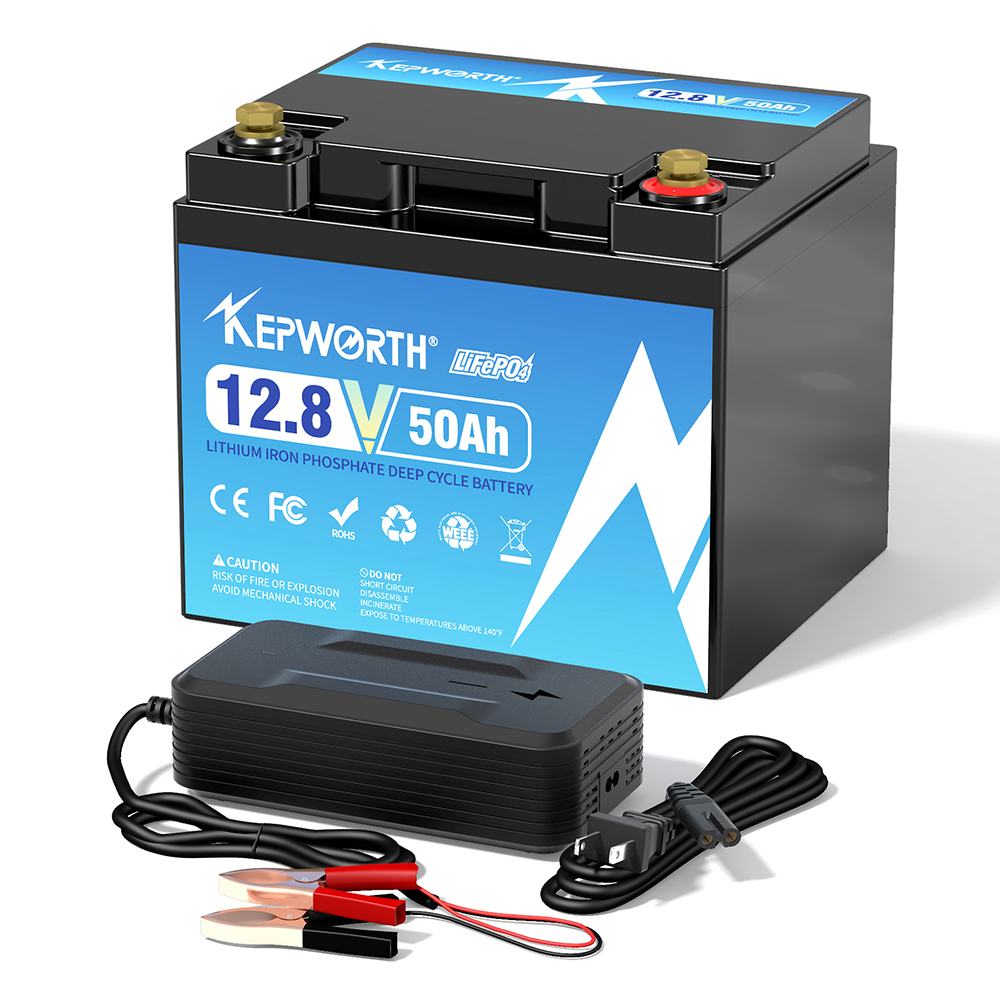 Nuevo 12V 24V 36V 48V 30Ah 50A - Lifepo4 48V 50Ah Golf Cart reseña y precio