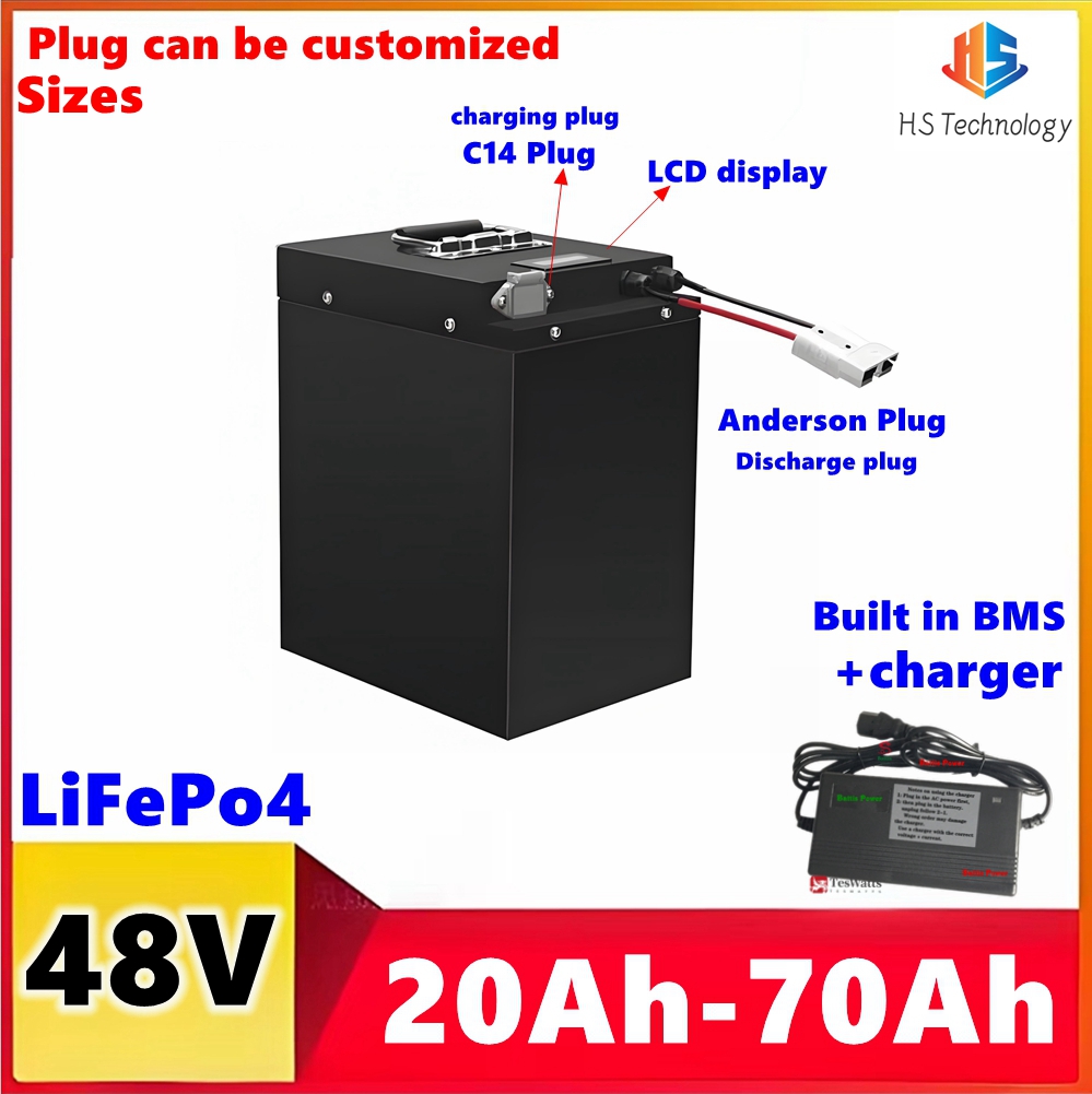 Batería de litio recargable Li - Lifepo4 48V 50Ah Golf Cart reseña y precio