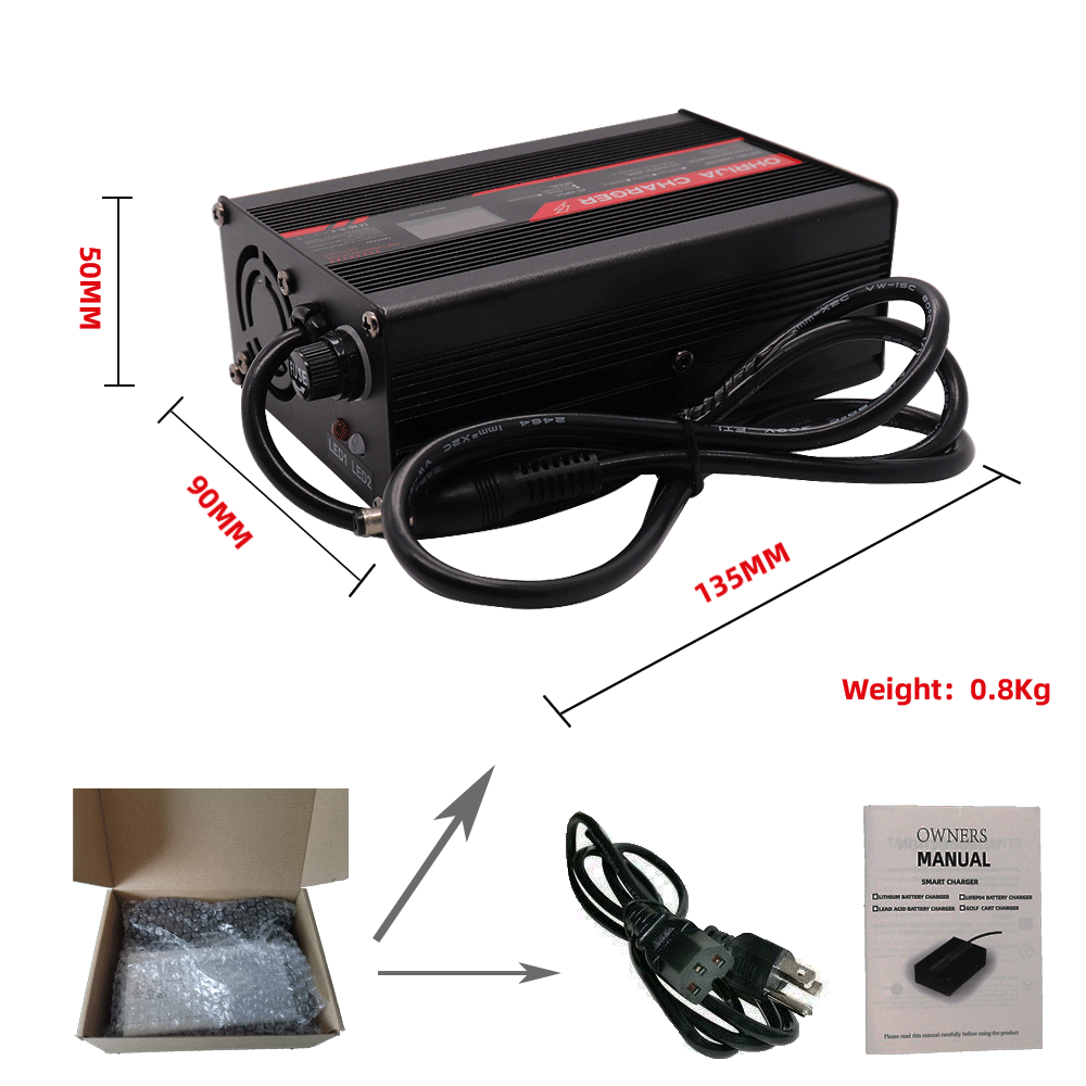 Cargador inteligente de 58,4 V - Lifepo4 Charger 48V 20A reseña y precio
