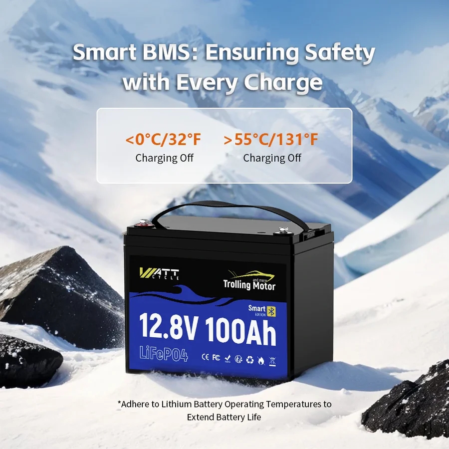 Batería LiFePO4 Wattcycle de 1 - 12V 100Ah Lifepo4 Bluetooth Bms reseña y precio