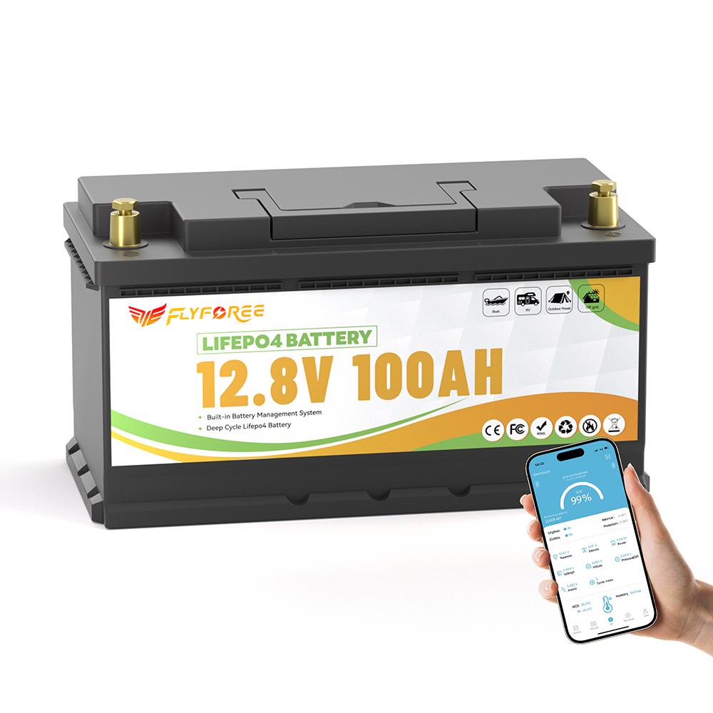 Batería de fosfato de hierro y - 12V 100Ah Lifepo4 Bluetooth Bms reseña y precio