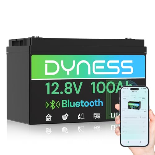 Batería LiFePO4 de 12V 100Ah c - 12V 100Ah Lifepo4 Bluetooth Bms reseña y precio