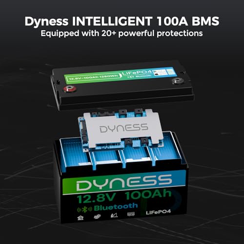 Batería LiFePO4 de 12V 100Ah c - 12V 100Ah Lifepo4 Bluetooth Bms reseña y precio