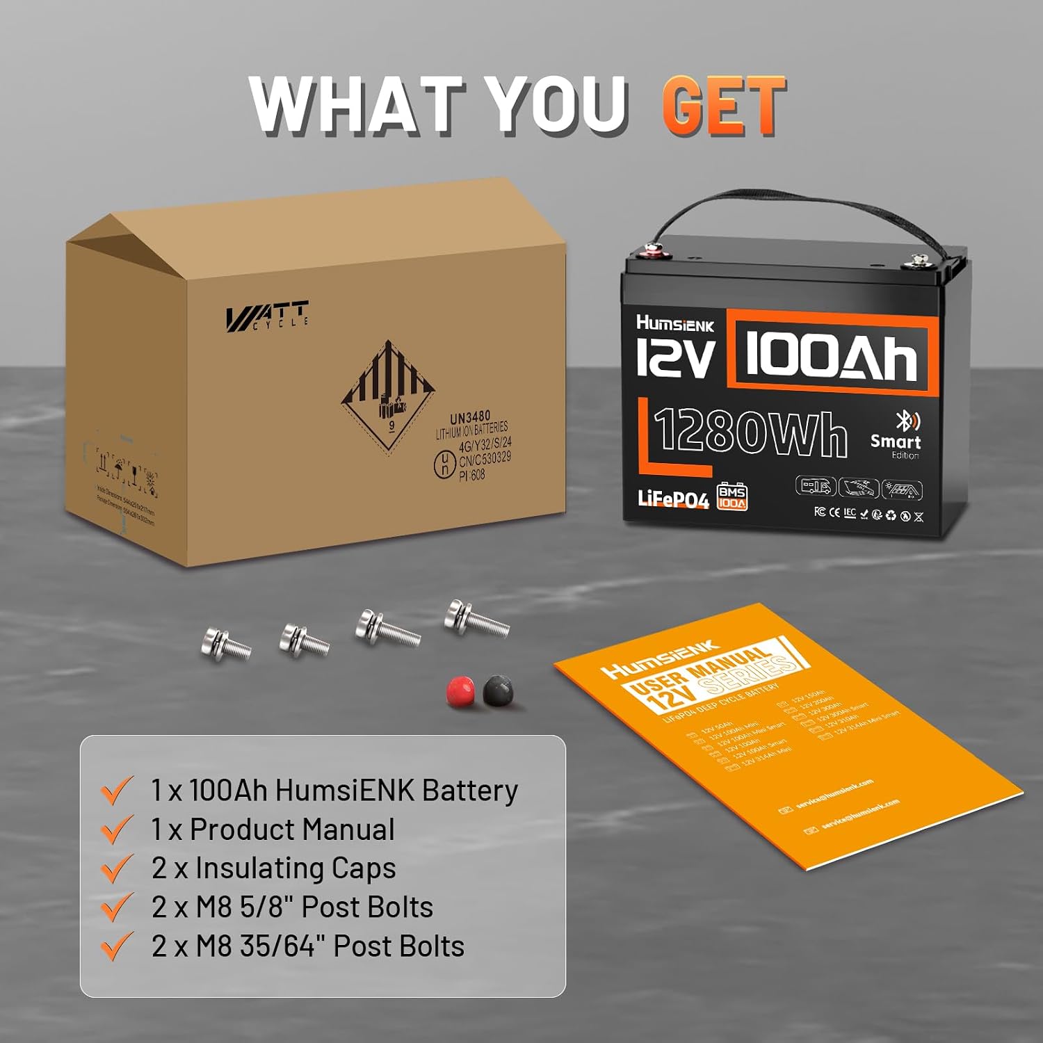 Batería de litio LiFePO4 de 12 - 12V 100Ah Lifepo4 Bluetooth Bms reseña y precio
