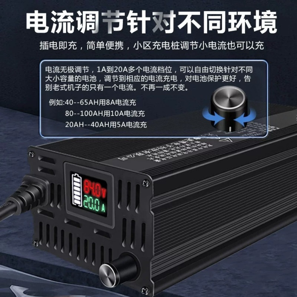 Cargador de litio con pantalla - Lifepo4 Charger 48V 20A reseña y precio