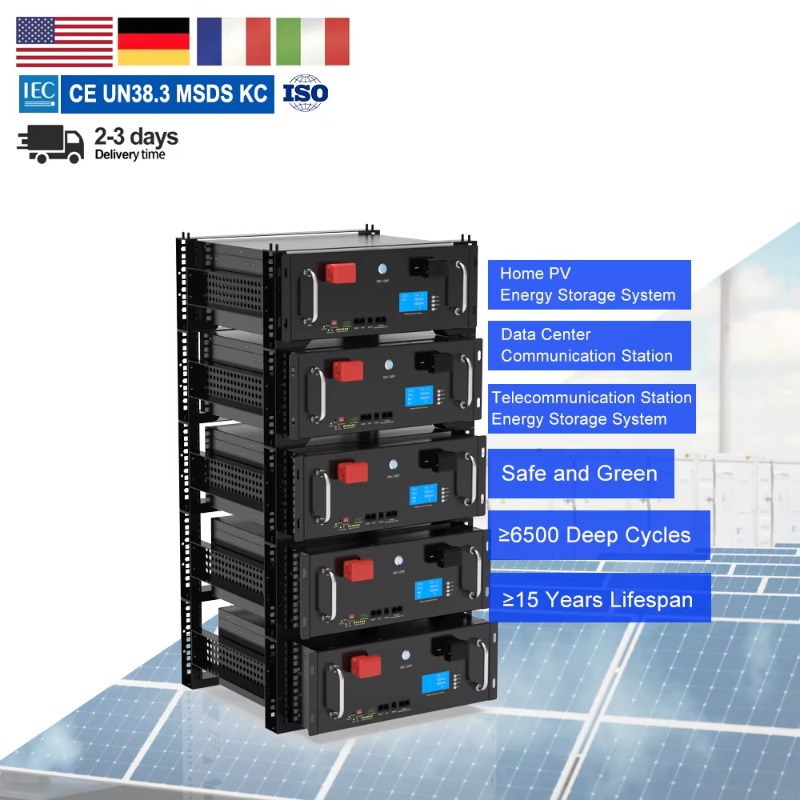 48V 100Ah 200Ah 300Ah 5KWH 10K - Lifepo4 48V 100Ah Server Rack reseña y precio