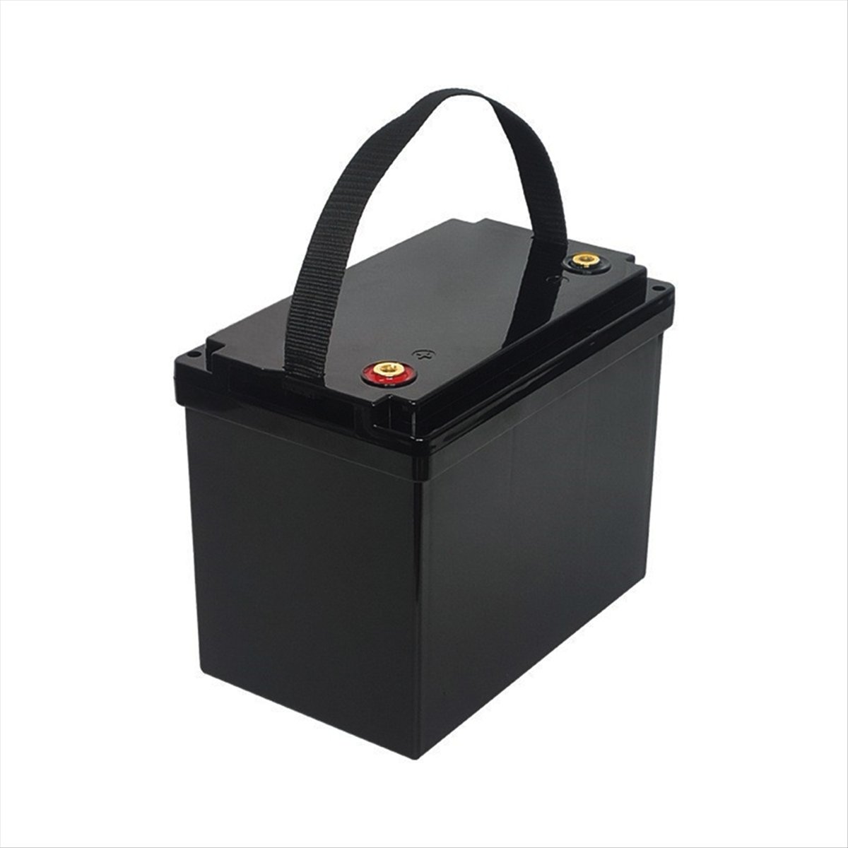 Caja de Almacenamiento DT32/12 - Lifepo4 Battery Box Diy 12V 100Ah reseña y precio